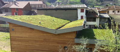 étanchéité et végétalisation de toiture - Allevard - Isère